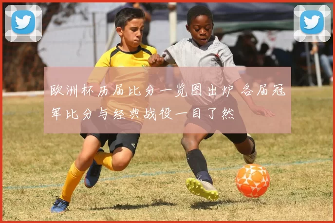 欧洲杯历届比分一览图出炉 各届冠军比分与经典战役一目了然