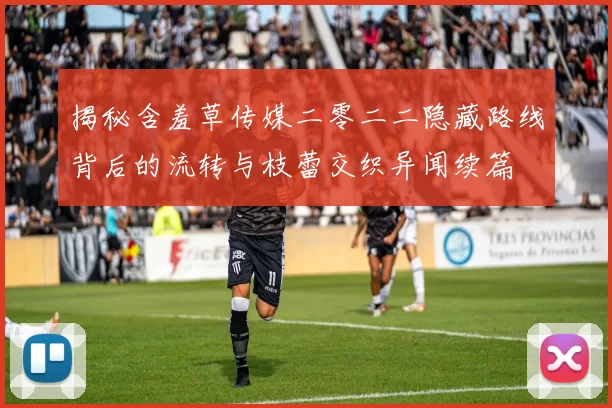 揭秘含羞草传媒二零二二隐藏路线背后的流转与枝蕾交织异闻续篇