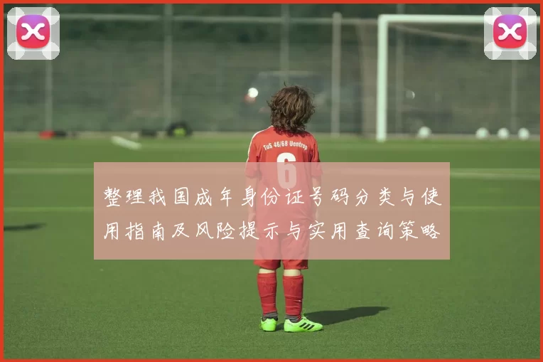 整理我国成年身份证号码分类与使用指南及风险提示与实用查询策略