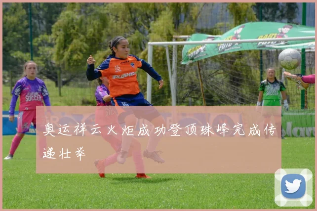 奥运祥云火炬成功登顶珠峰完成传递壮举