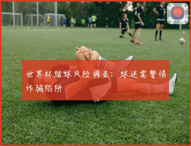 世界杯赌球风险调查:球迷需警惕诈骗陷阱